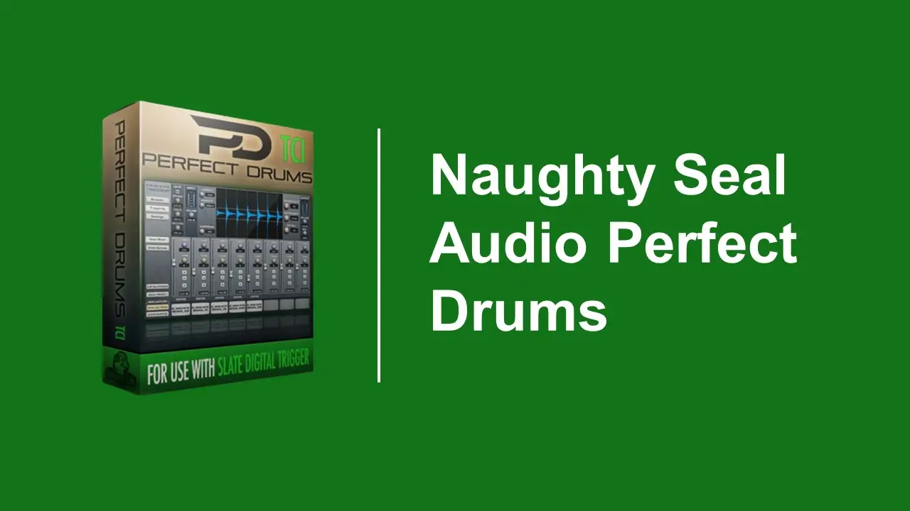 Naughty Seal Audio Perfect Drums