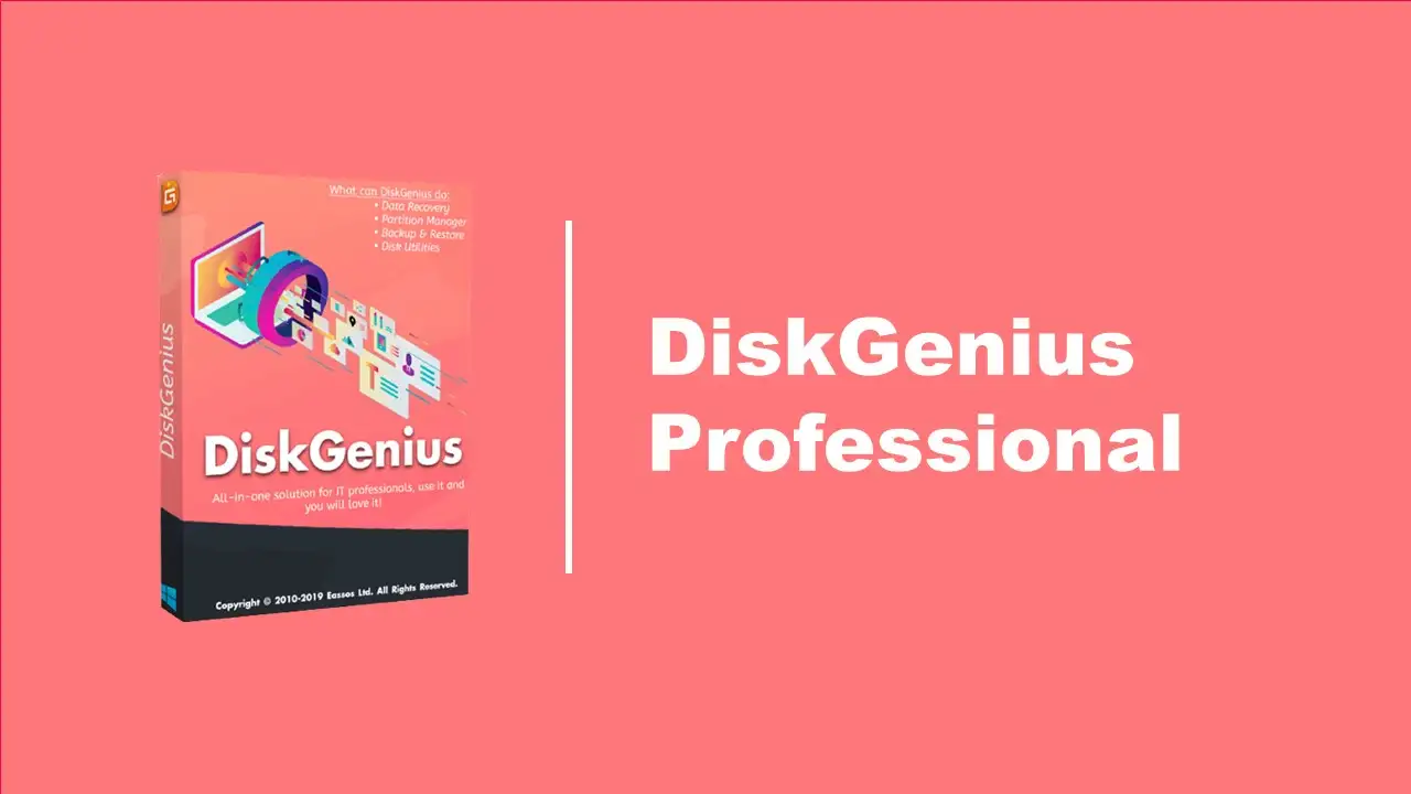 DiskGenius Professional