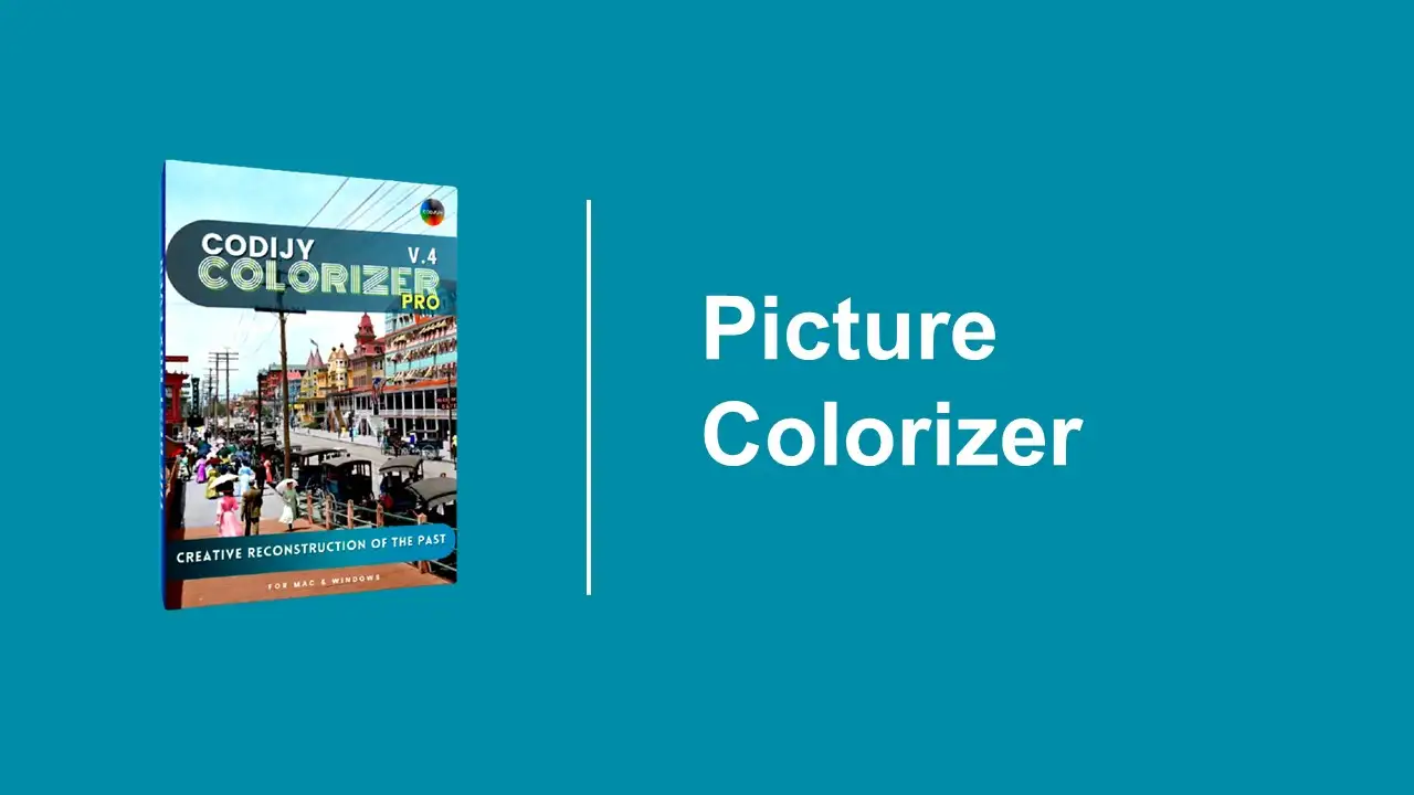 Picture Colorizer